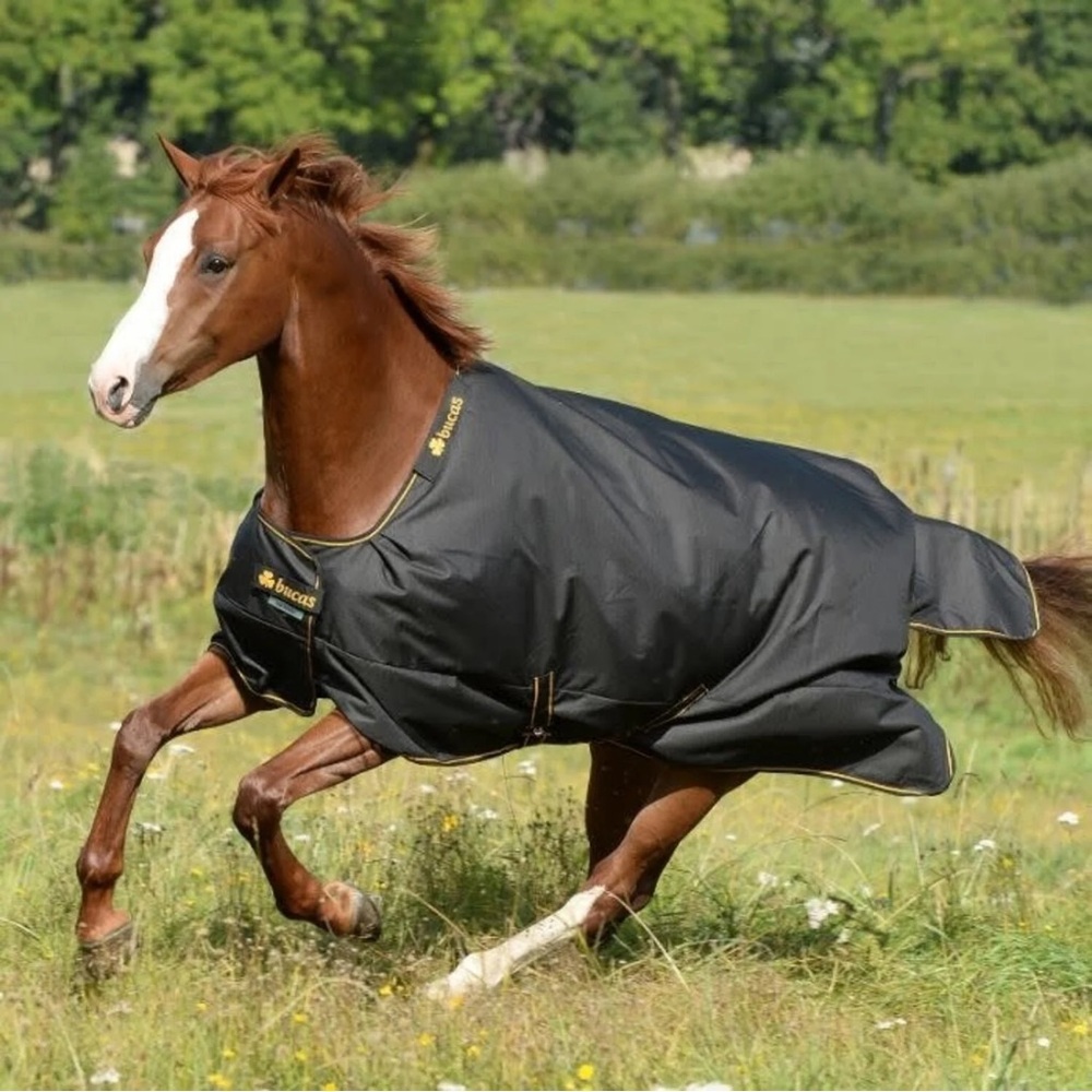 Bucas Irish Light 50g Fill Horse Blanket Turnout Equestrian size 84